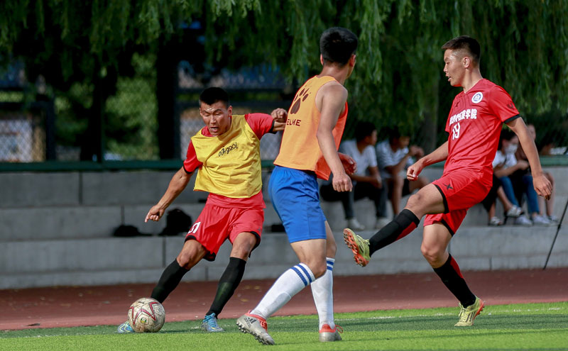 多特0-1勒沃库森无缘德国杯，马扎一击制胜，泰里耶进球被吹（德国杯多特0-1负勒沃库森出局：马扎制胜，泰里耶进球遭判无效）
